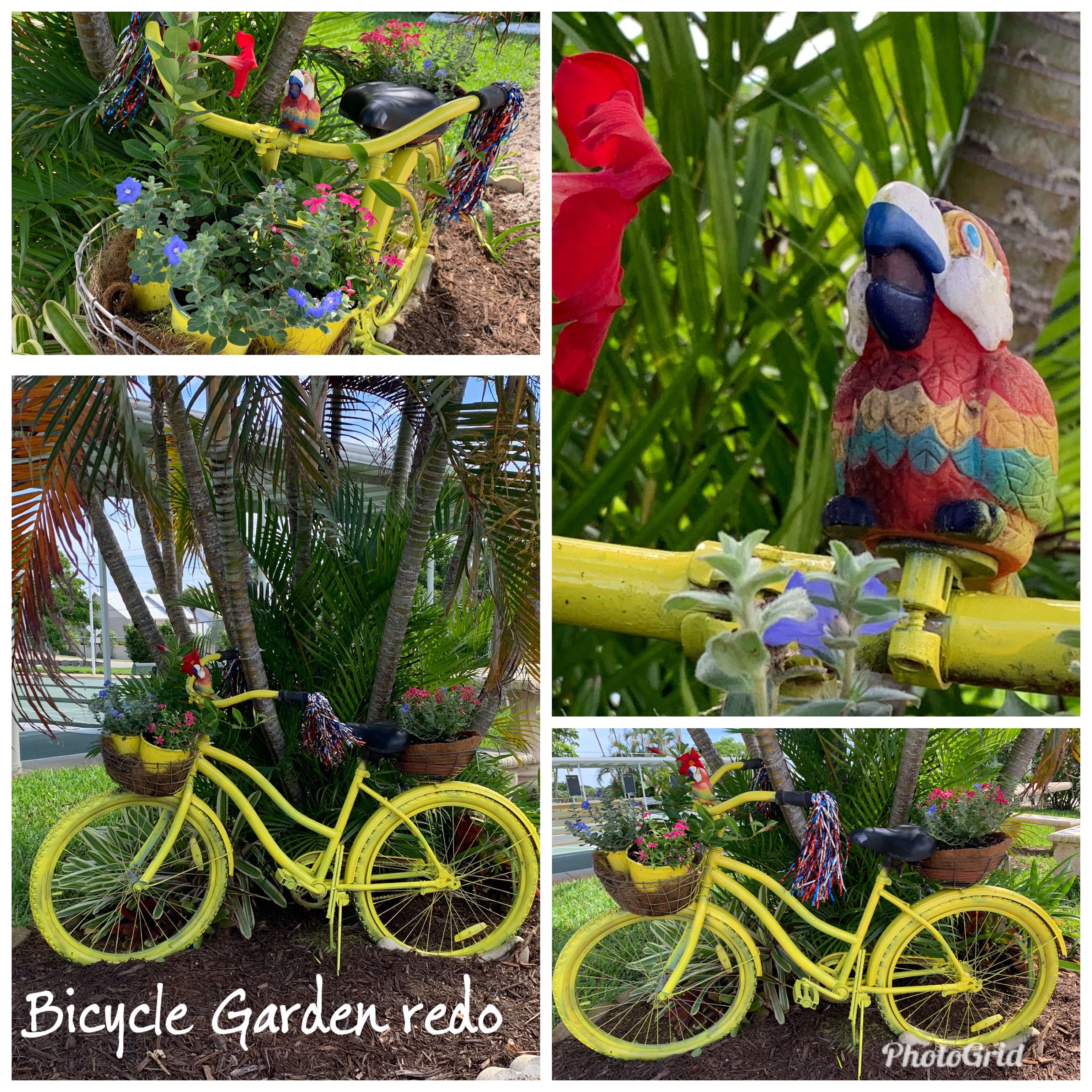 The Bicycle Garden&conn=none